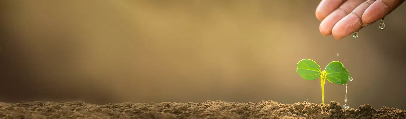 Nachhaltige Wassernutzung – ohne Wasser läuft nichts