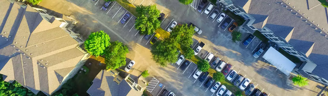 Verkehrssichere Außenanlagen von A wie Astbruch bis Z wie Zuwegung