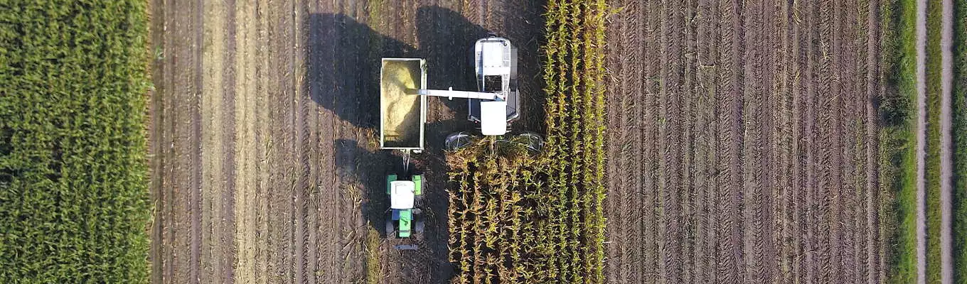 TRGS 529: So verbessern die neuen Regelungen die Betriebssicherheit von Biogasanlagen